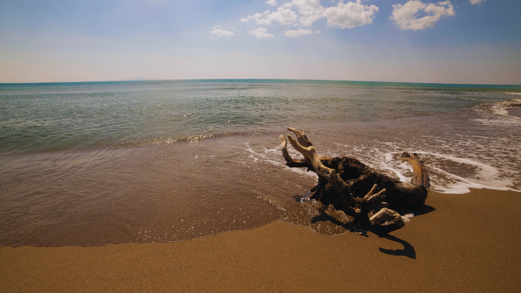 spiaggia Alberese