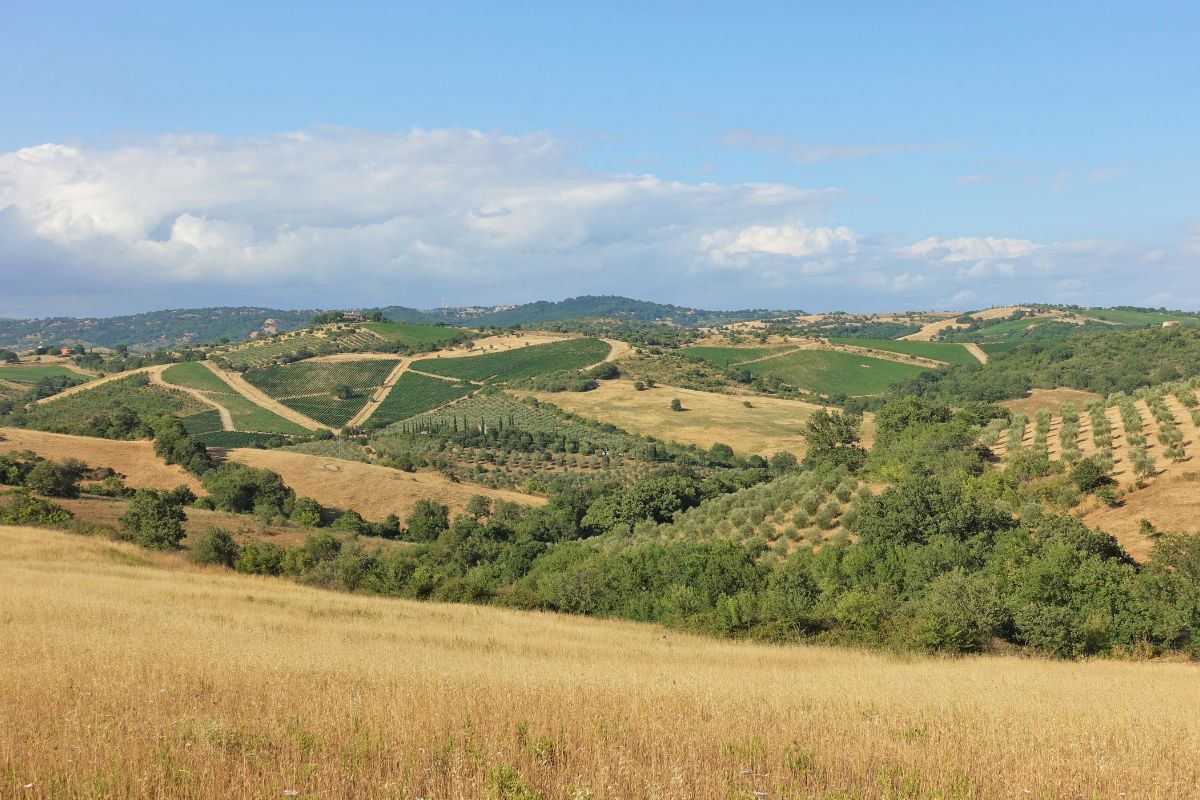 campagna maremmana